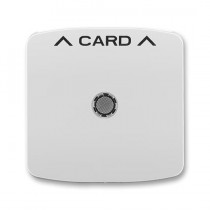 3559A-A00700 S  Kryt spínače kartového, s čirým průzorem, s potiskem, šedá